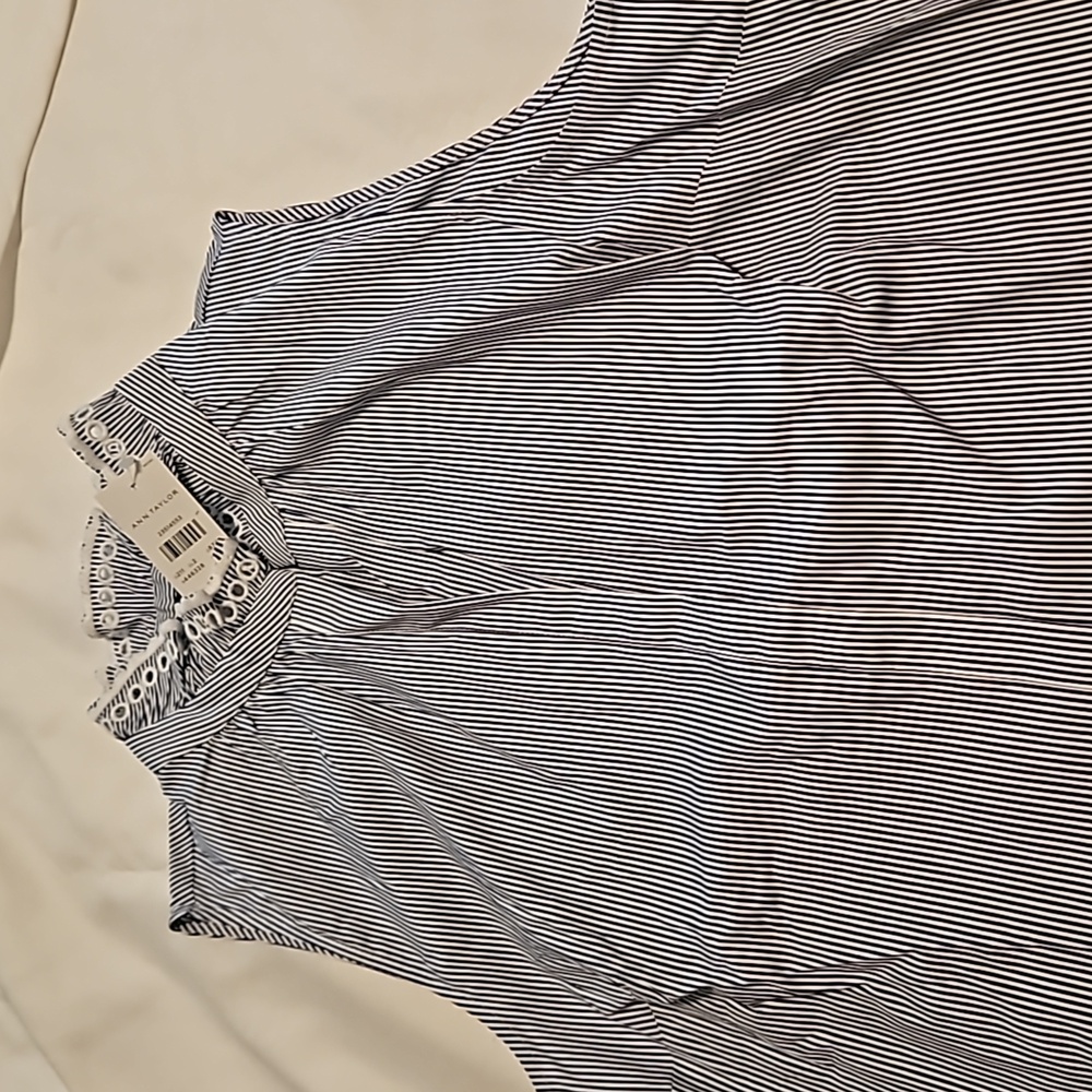 Ann Taylor top